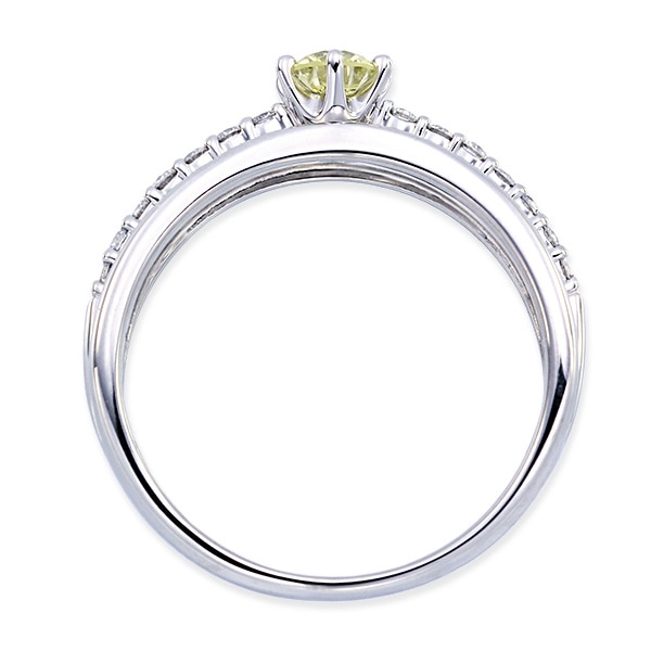 �v���`�i�Ӓ菑�t�_�C�������h�����O�i0.23�J���b�g�j