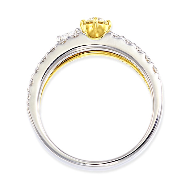 �v���`�i/K18�C�G���[�S�[���h�Ӓ菑�t�_�C�������h�����O�i0.18�J���b�g�j