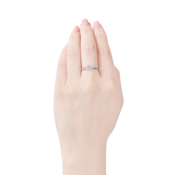 �v���`�i�Ӓ菑�t�_�C�������h�����O�i0.29�J���b�g�j