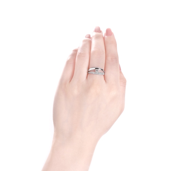 �v���`�i�Ӓ菑�t�_�C�������h�����O�i0.13�J���b�g�j