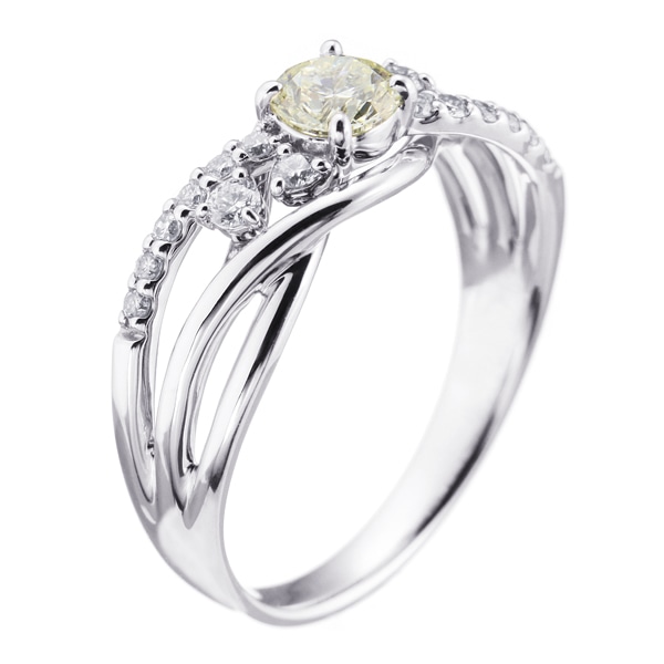 �v���`�i�Ӓ菑�t�_�C�������h�����O�i0.3�J���b�g�j