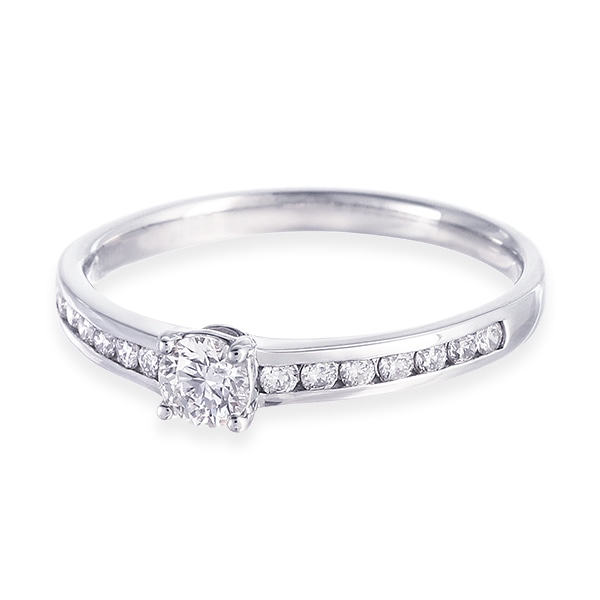 �v���`�i�Ӓ菑�t�_�C�������h�����O�i0.17�J���b�g�j