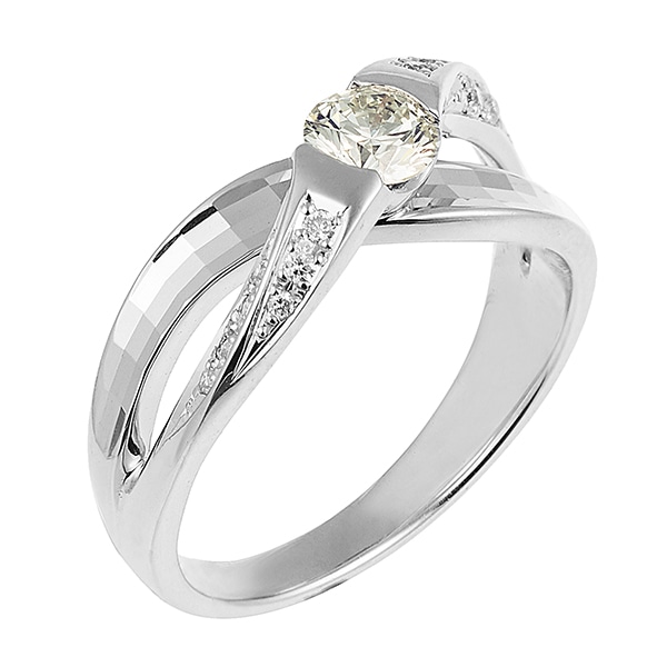 �v���`�i�Ӓ菑�t�_�C�������h�����O�i0.3�J���b�g�j