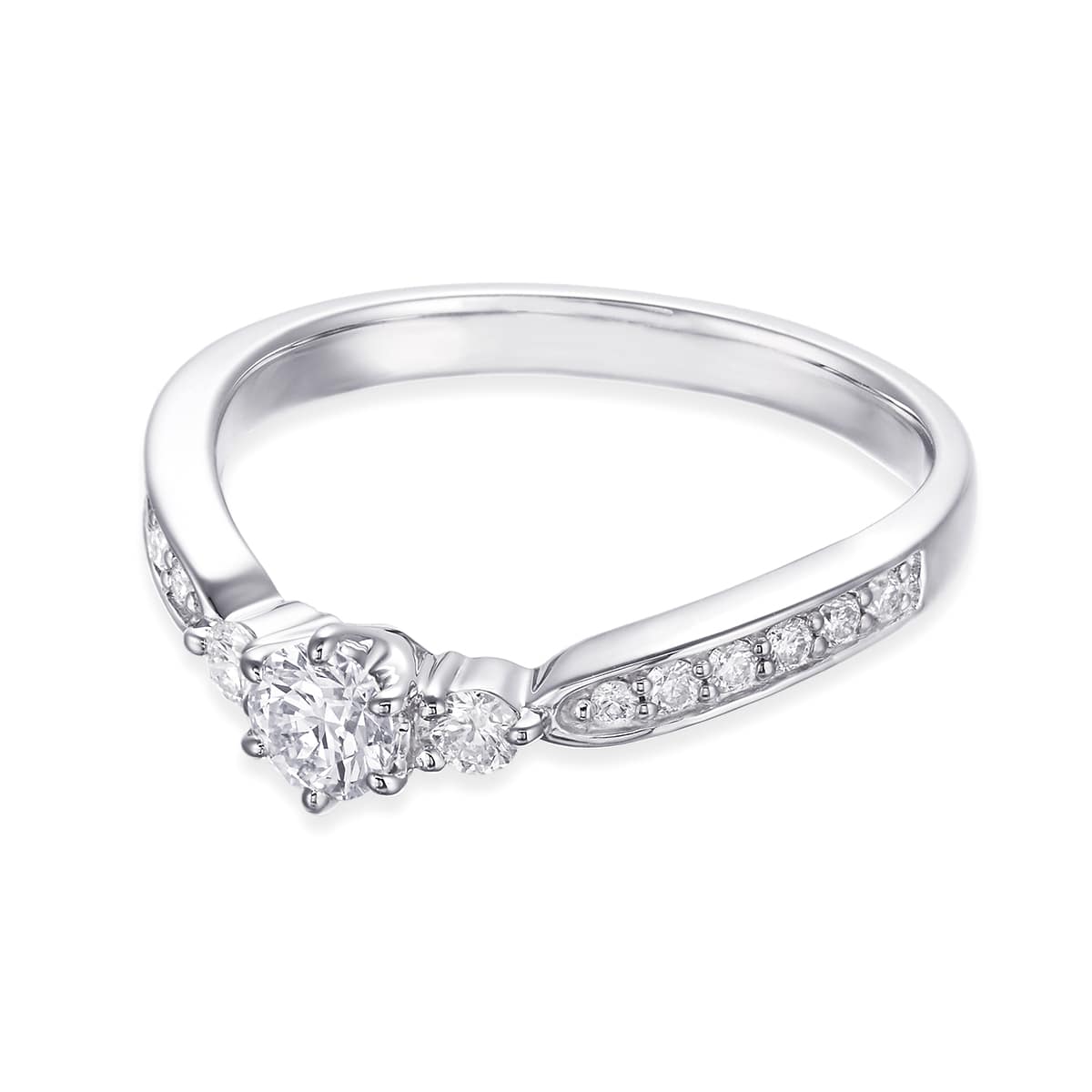 �v���`�i�Ӓ菑�t�_�C�������h�����O�i0.21�J���b�g�j