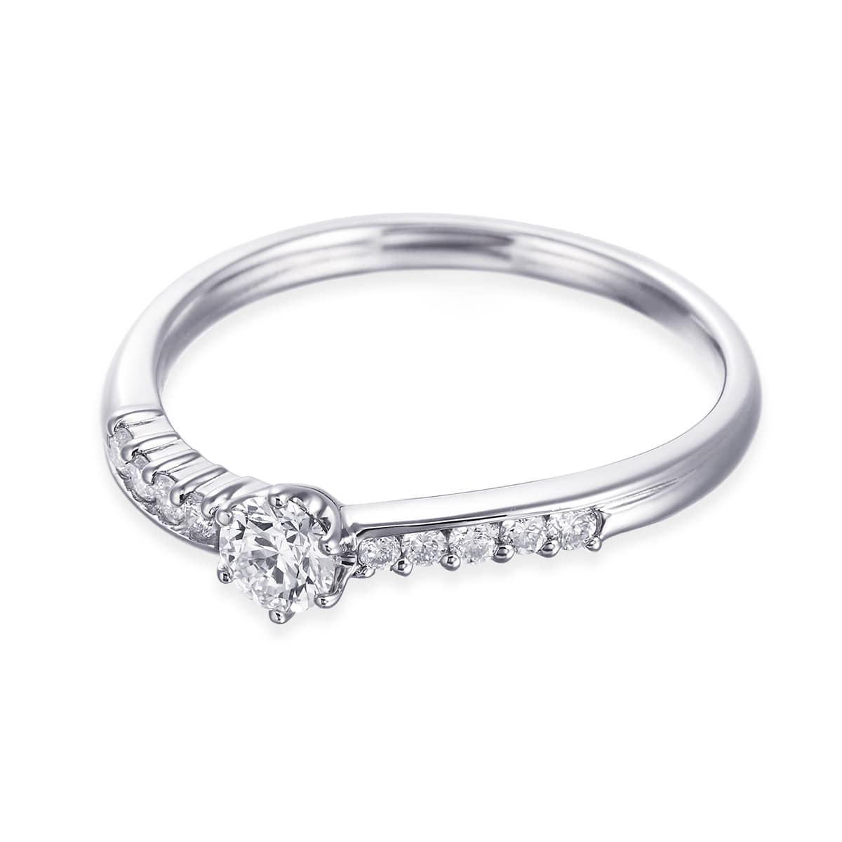 �v���`�i�Ӓ菑�t�_�C�������h�����O�i0.19�J���b�g�j