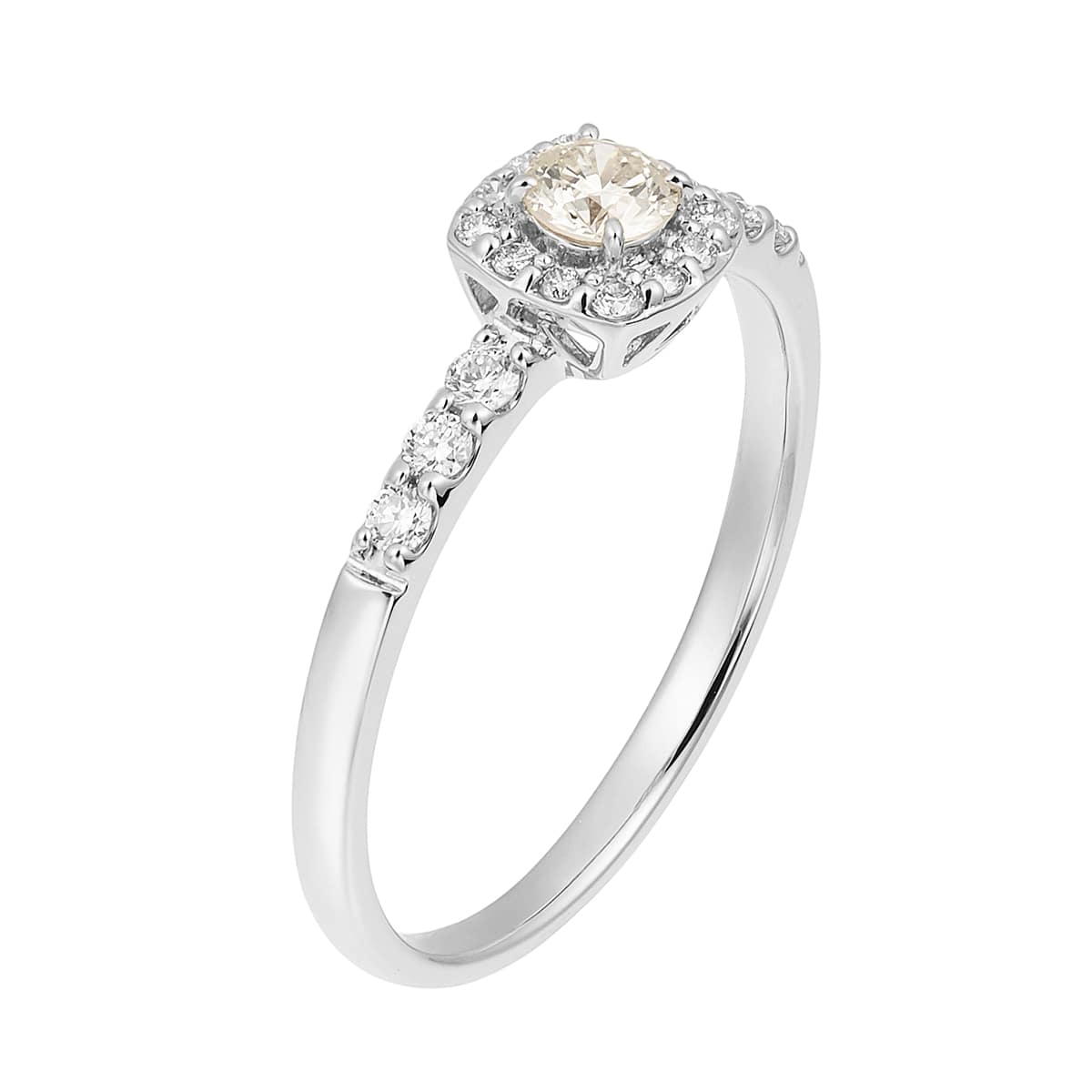 �v���`�i�Ӓ菑�t�_�C�������h�����O�i0.15�J���b�g�j