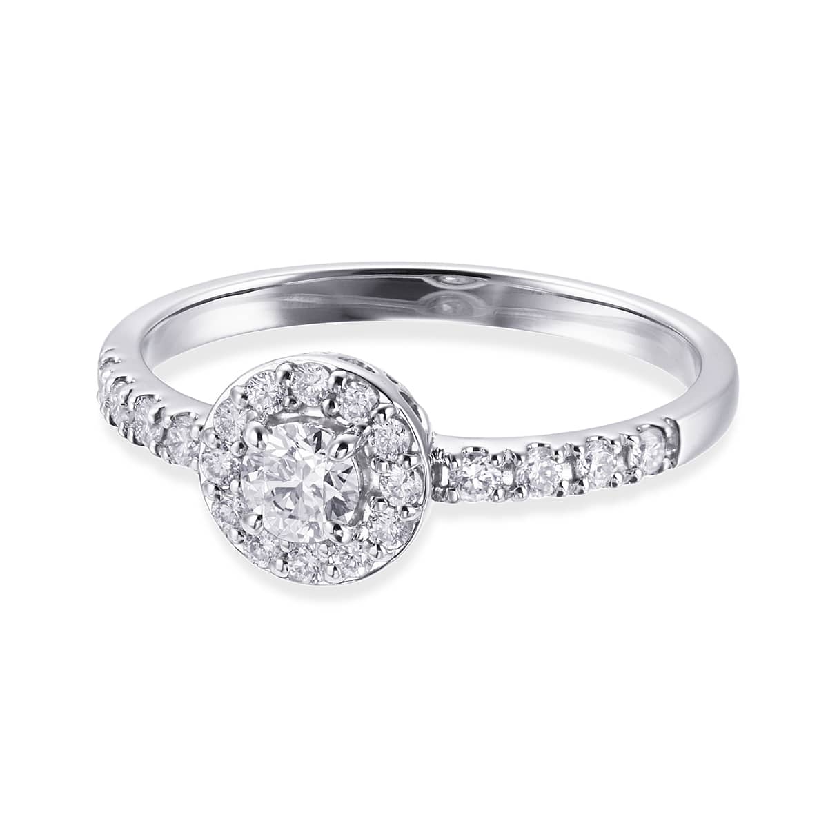 �v���`�i�Ӓ菑�t�_�C�������h�����O�i0.18�J���b�g�j