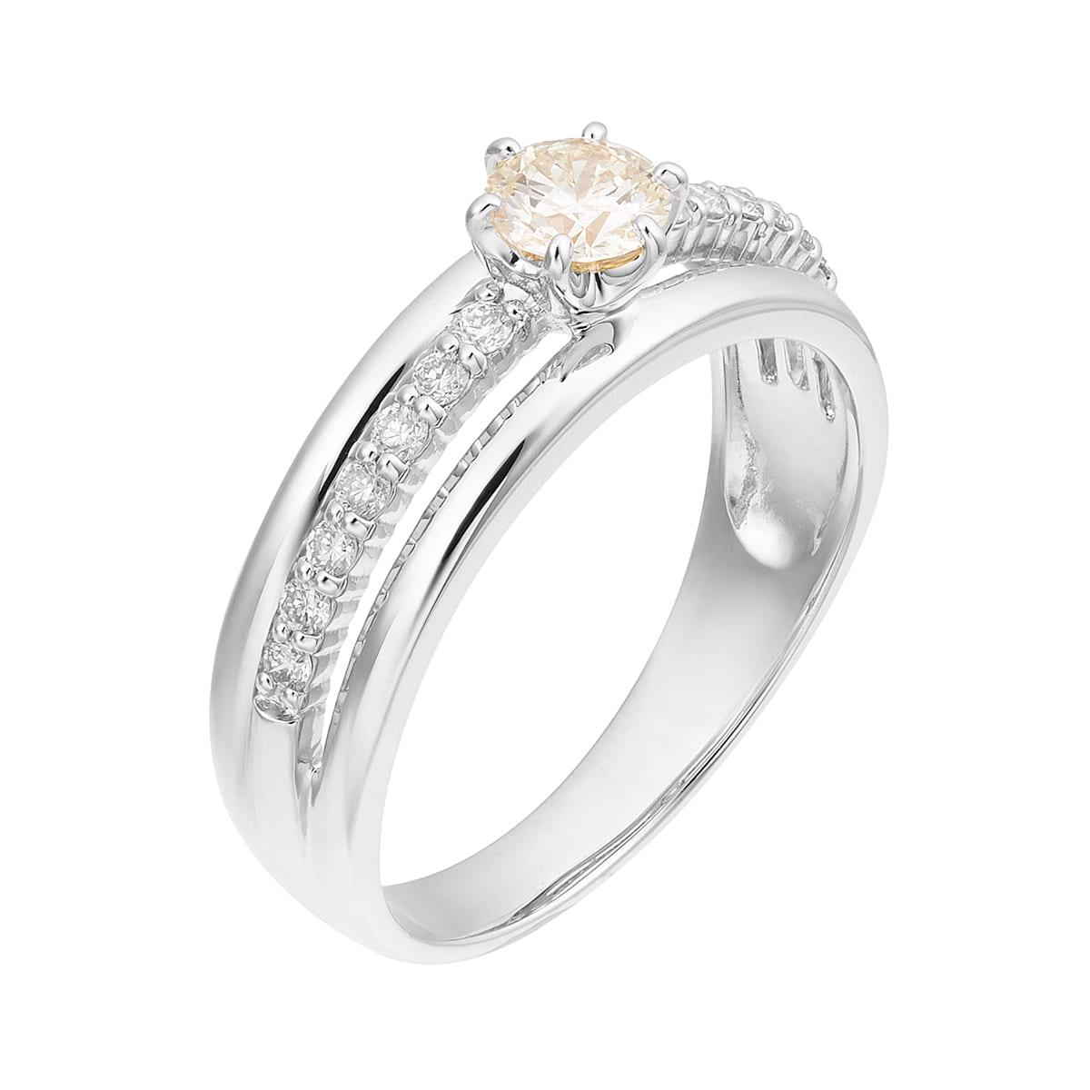 �v���`�i�Ӓ菑�t�_�C�������h�����O�i0.3�J���b�g�j