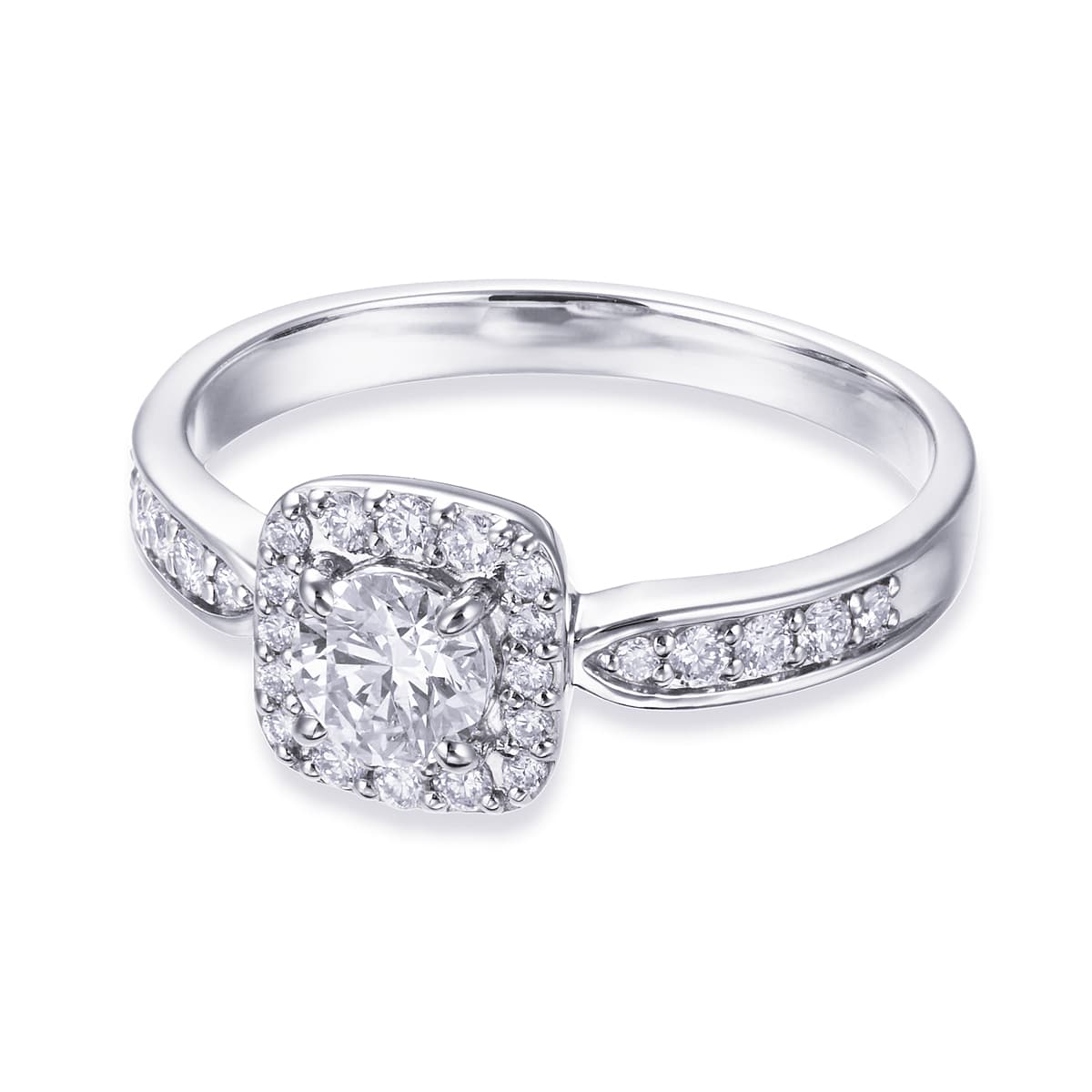 �v���`�i�Ӓ菑�t�_�C�������h�����O�i0.34�J���b�g�j