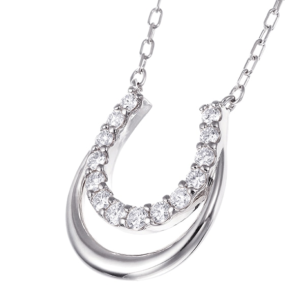 �v���`�i�_�C�������h�l�b�N���X