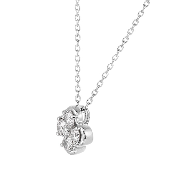 �v���`�i�_�C�������h�l�b�N���X