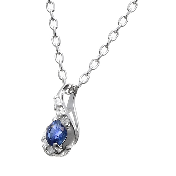 K10�z���C�g�S�[���h�T�t�@�C�A�l�b�N���X