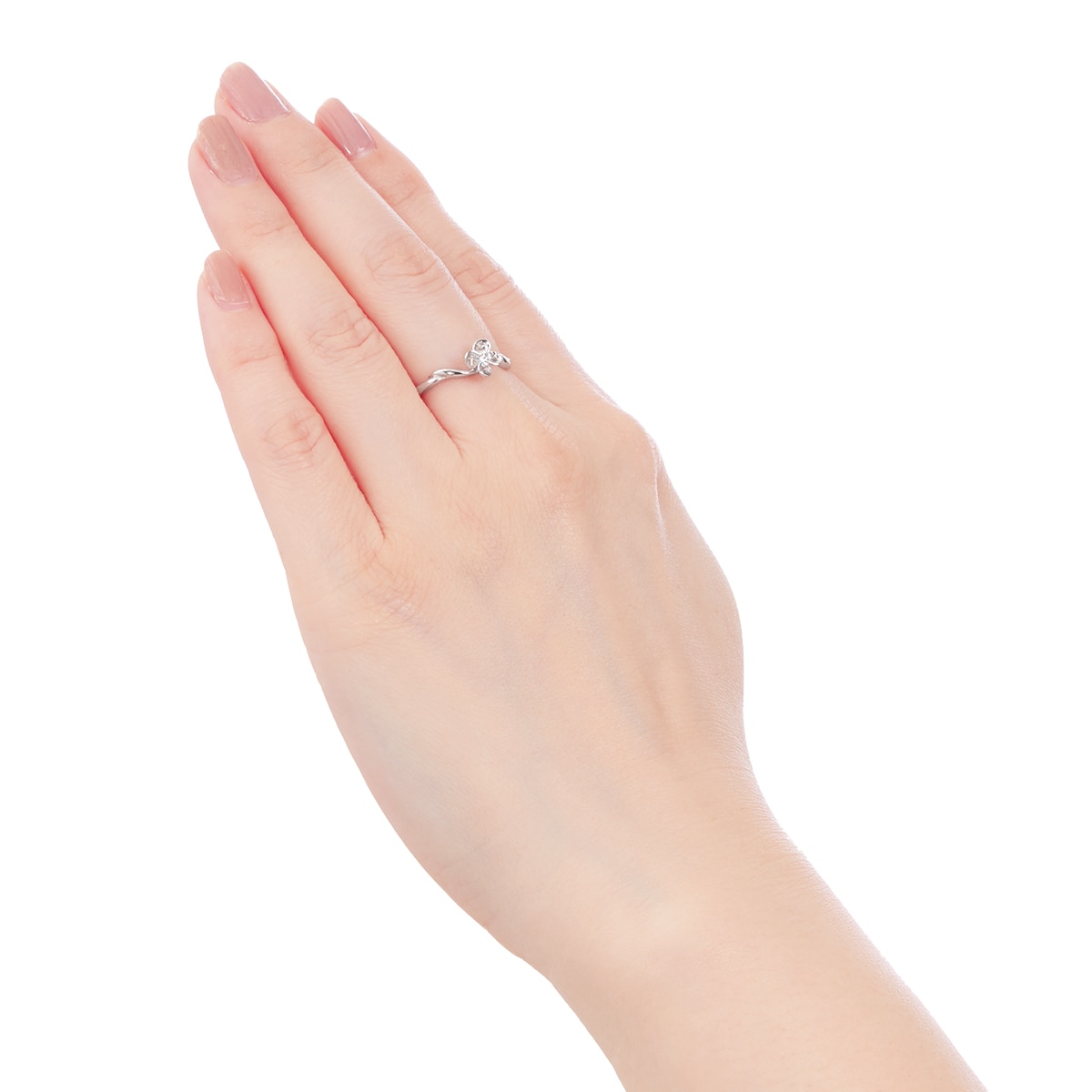 �v���`�i�ӕʏ��t�_�C�������h�����O