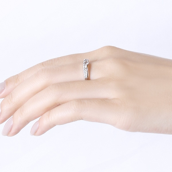 �v���`�i�_�C�������h�����O