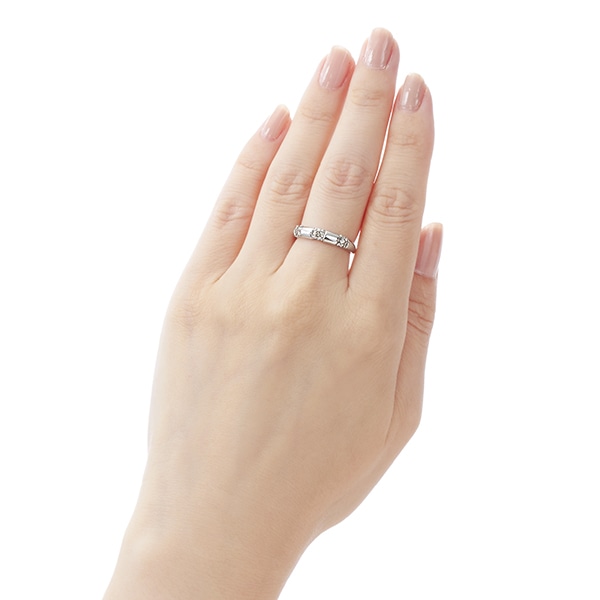 �v���`�i�_�C�������h�����O