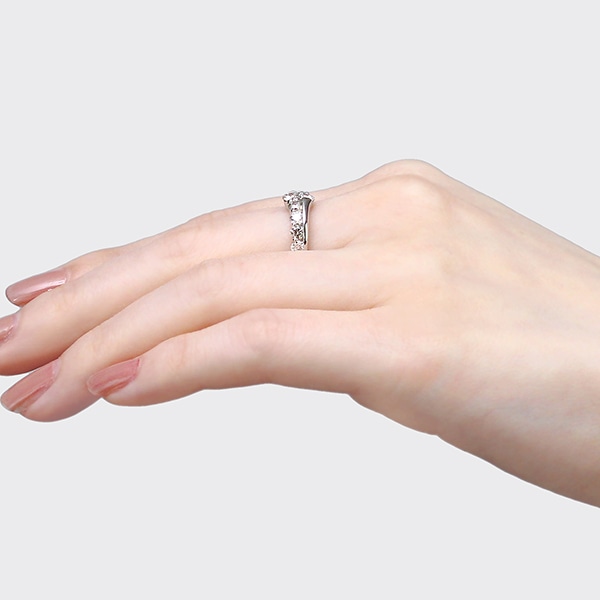 �v���`�i�_�C�������h�����O