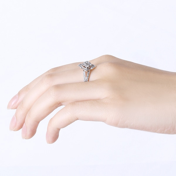 �v���`�i�_�C�������h�����O