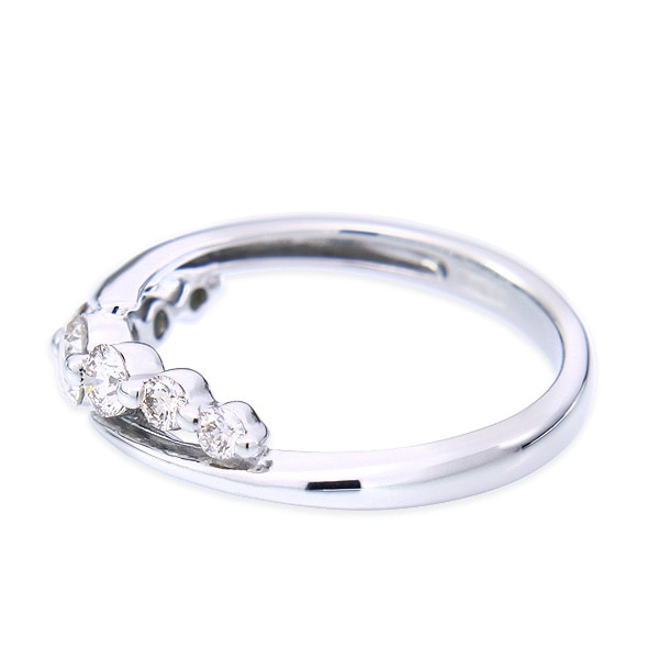 �v���`�i�_�C�������h�����O