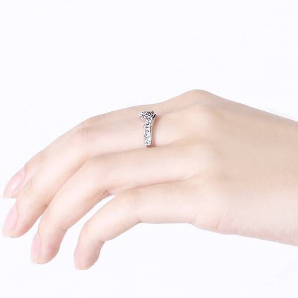 �v���`�i�_�C�������h�����O