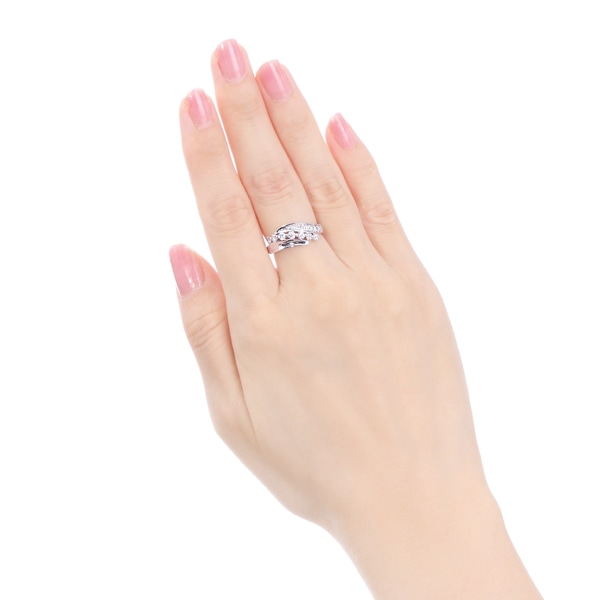 �v���`�i�_�C�������h�����O