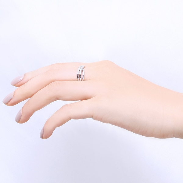 �v���`�i�_�C�������h�����O