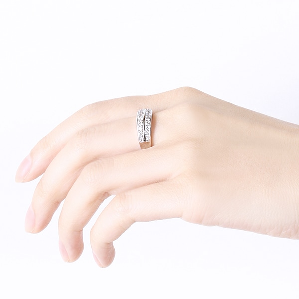 �v���`�i�_�C�������h�����O