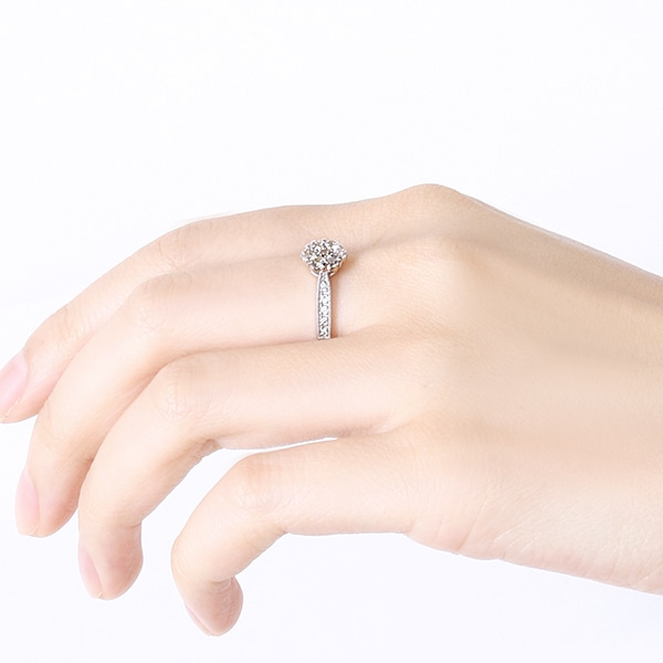 �v���`�i�_�C�������h�����O