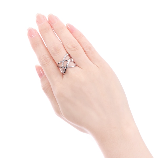 �v���`�i�_�C�������h�����O