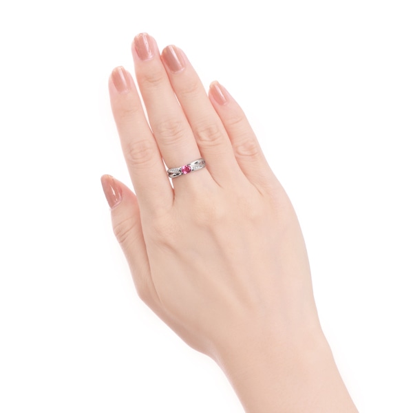 �v���`�i�s���N�X�s�l�������O