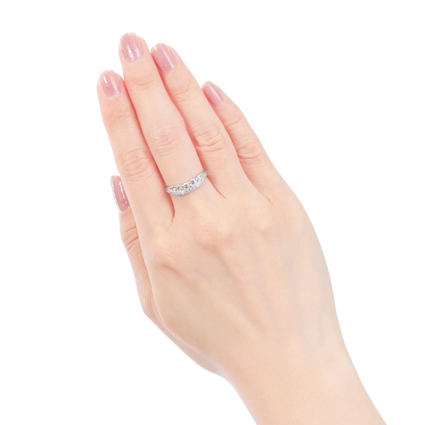 �v���`�i�_�C�������h�����O