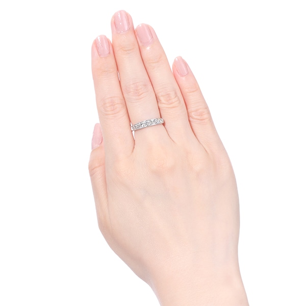 �v���`�i�_�C�������h�����O