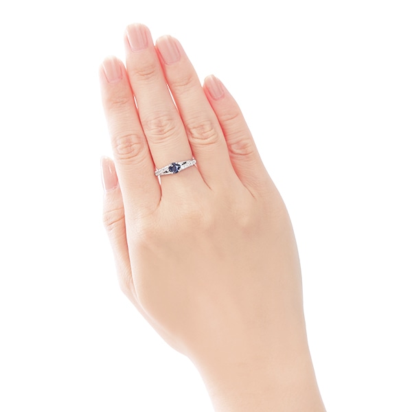 �v���`�i�T�t�@�C�A�����O