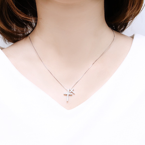 �v���`�i�_�C�������h�l�b�N���X