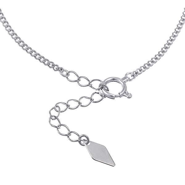 �v���`�i�_�C�������h�u���X���b�g