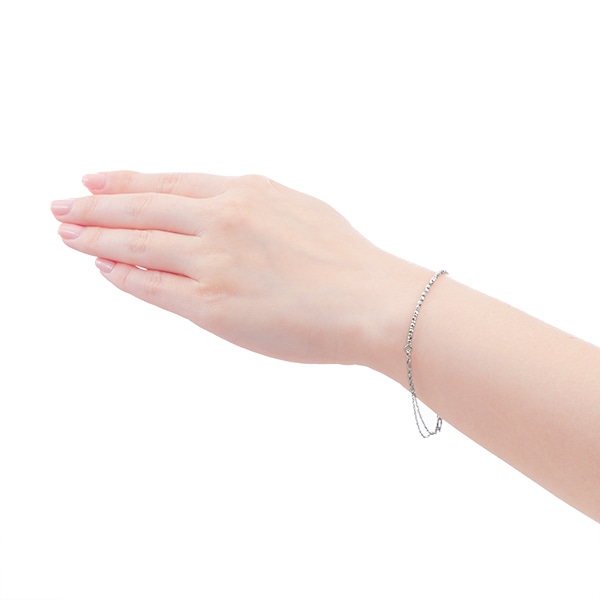 �v���`�i�u���X���b�g