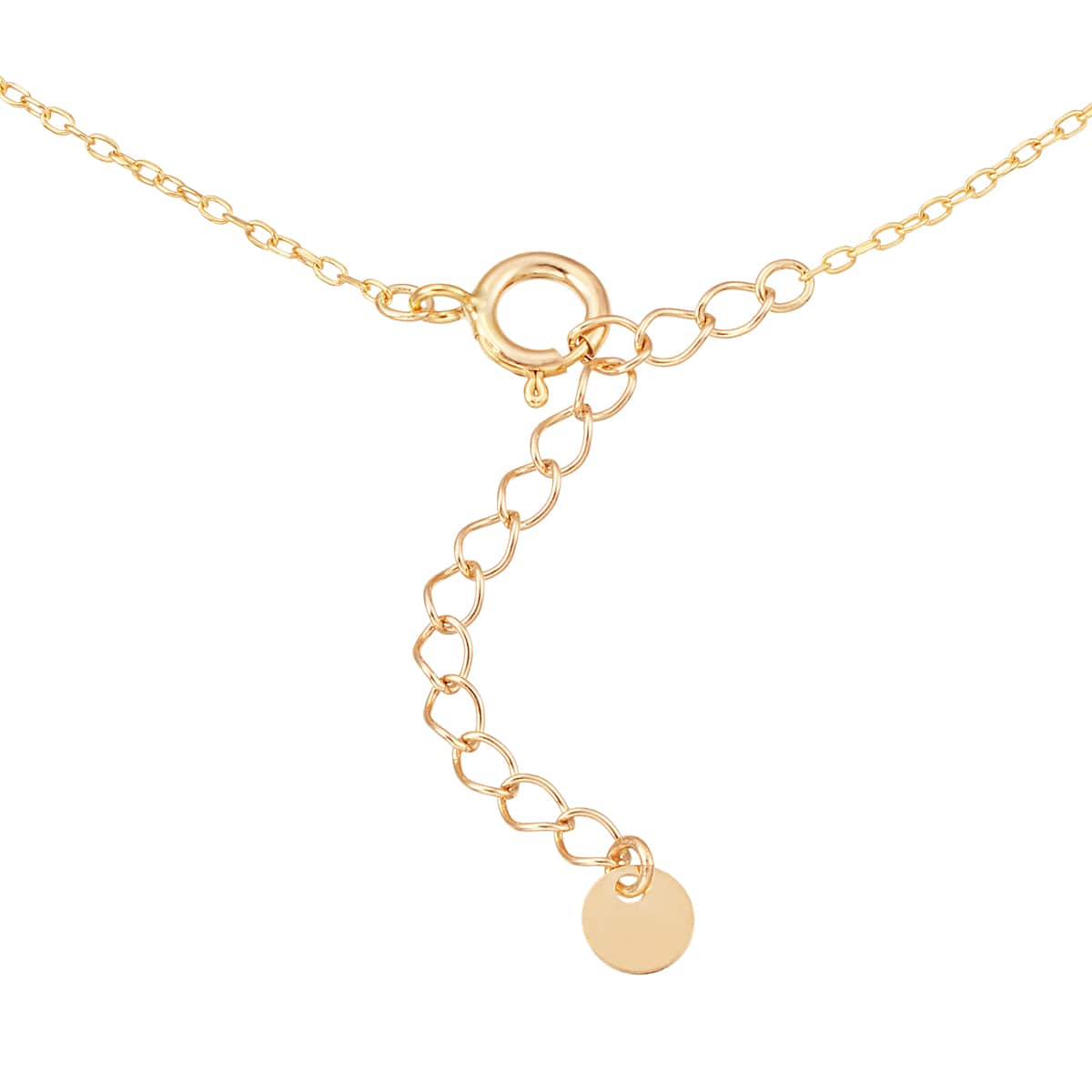 K10�C�G���[�S�[���h�^�[�R�C�Y�u���X���b�g