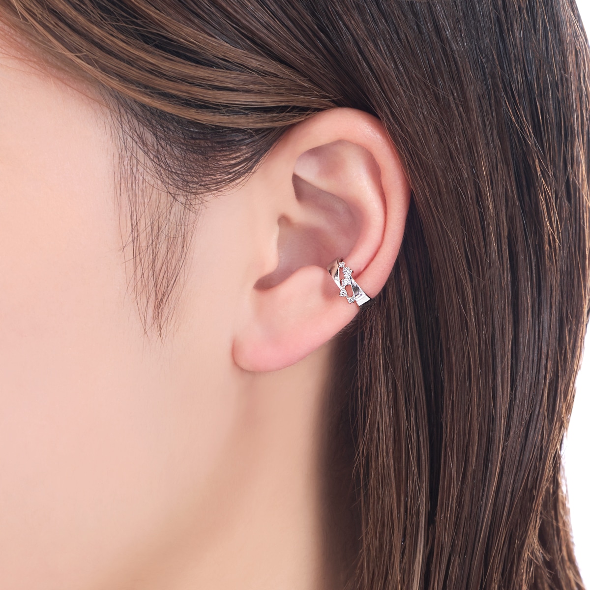 �v���`�i�_�C�������h�C���[�J�t�i�Б��j