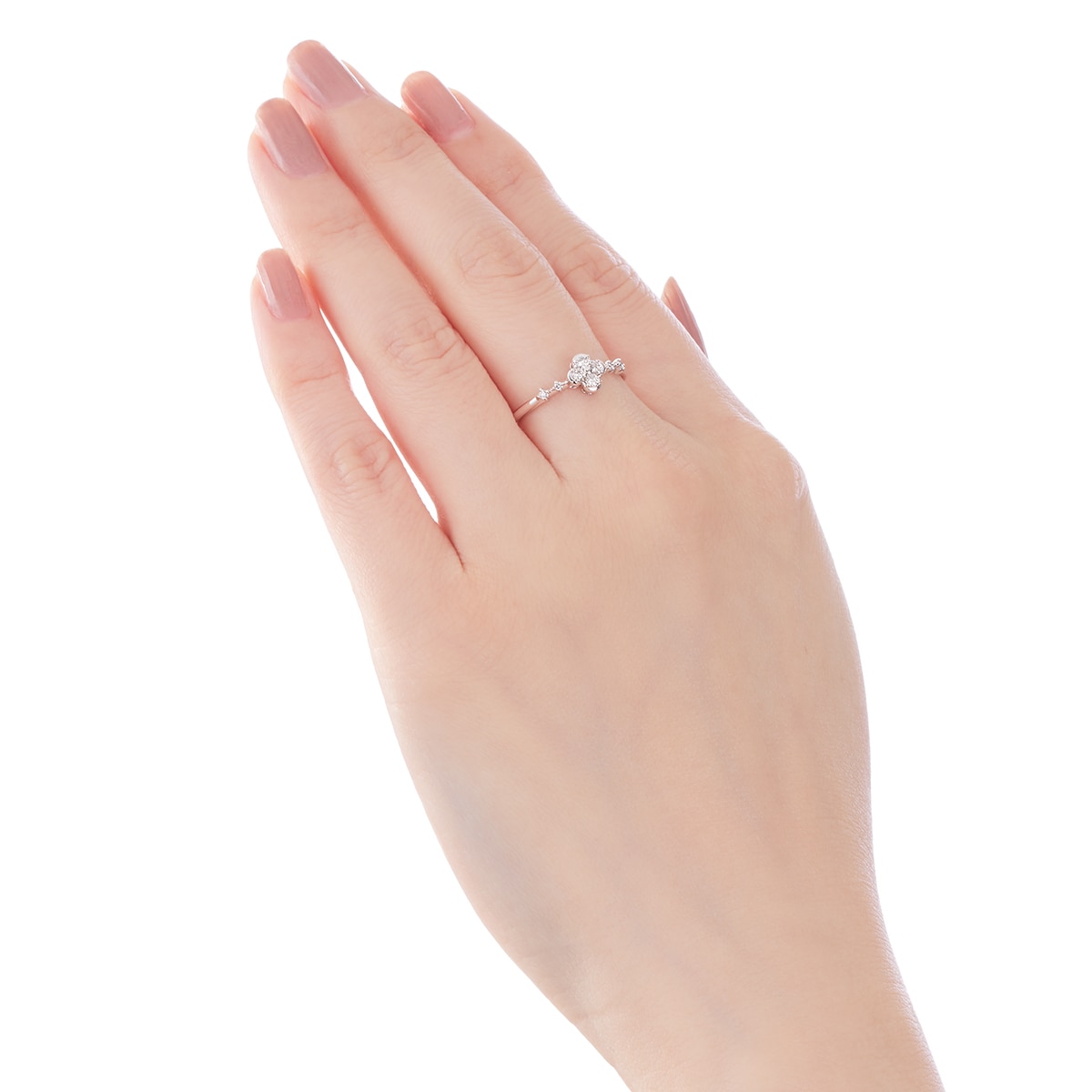 �v���`�i�_�C�������h�����O