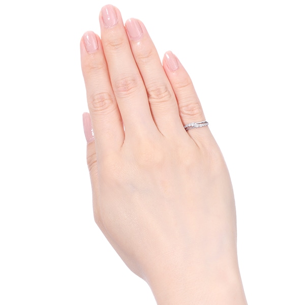 �v���`�i�_�C�������h�����O�i�s���L�[�����O�j