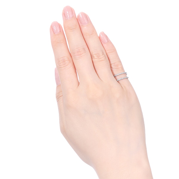 �v���`�i�_�C�������h�����O�i�s���L�[�����O�j