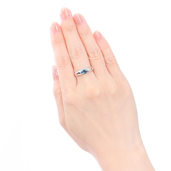 �v���`�i�����h���u���[�g�p�[�Y�����O