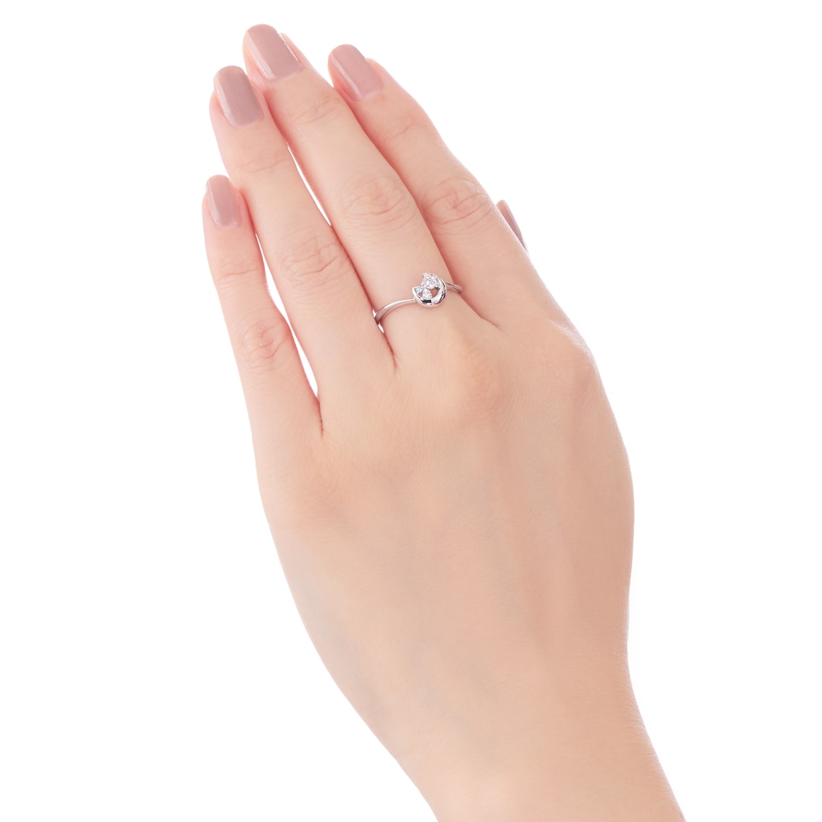 �v���`�i�_�C�������h�����O