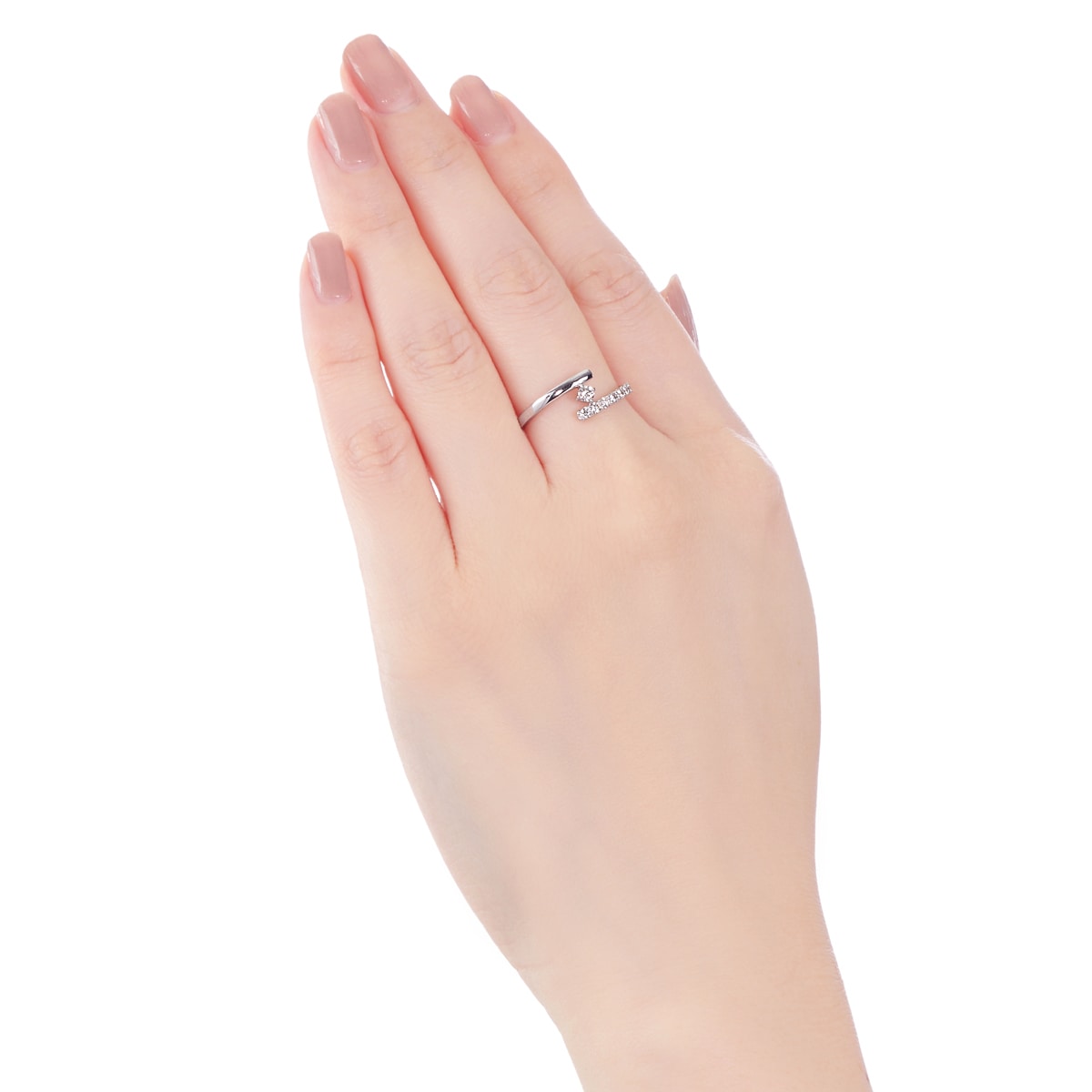 �v���`�i�_�C�������h�����O