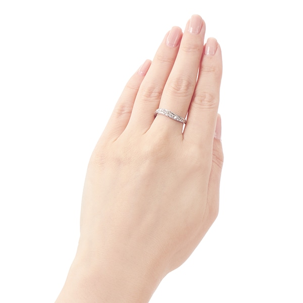 �v���`�i�_�C�������h�����O