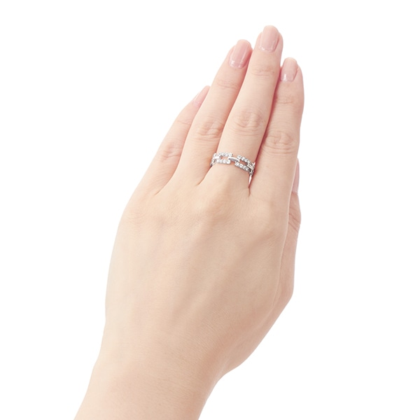 �v���`�i�_�C�������h�����O