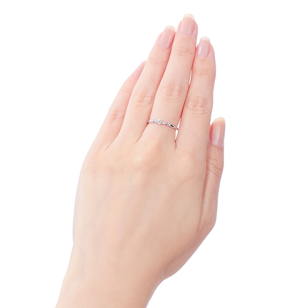 �v���`�i�_�C�������h�����O