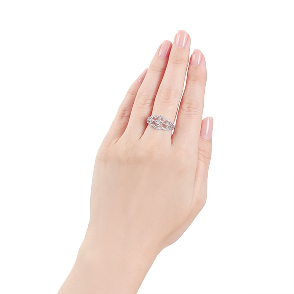 �v���`�i�_�C�������h�����O