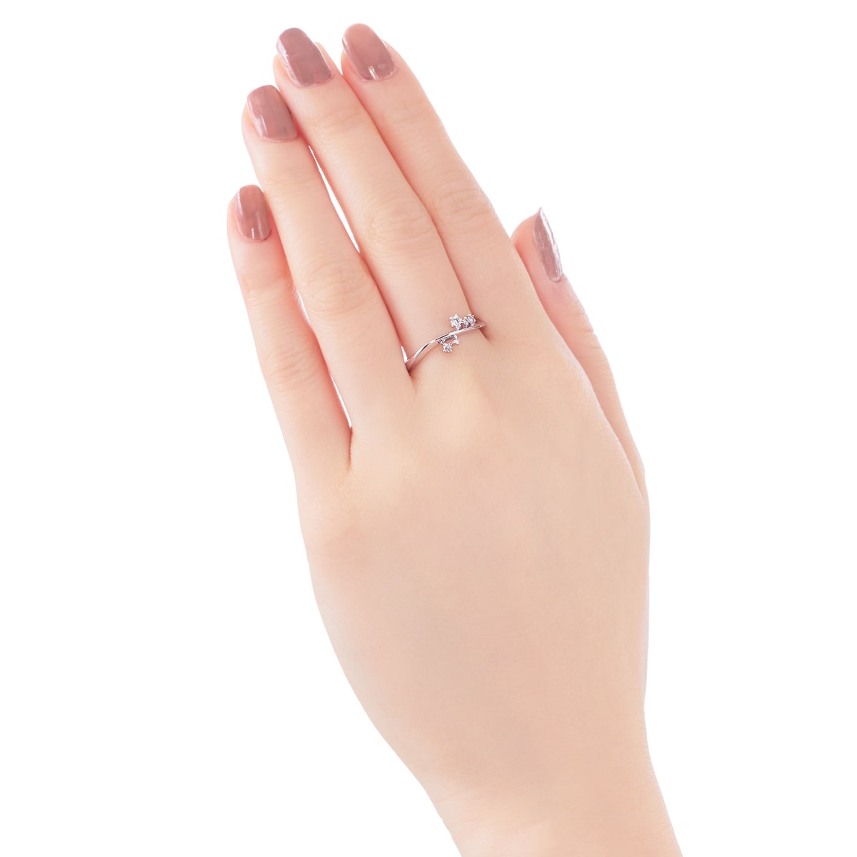 �v���`�i�_�C�������h�����O