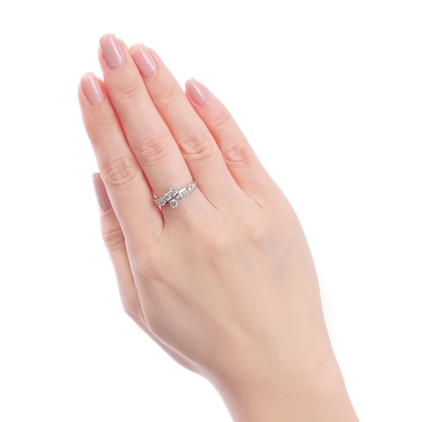 �v���`�i�_�C�������h�����O