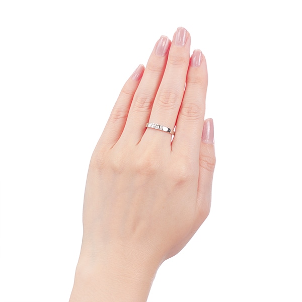 �v���`�i�_�C�������h�����O